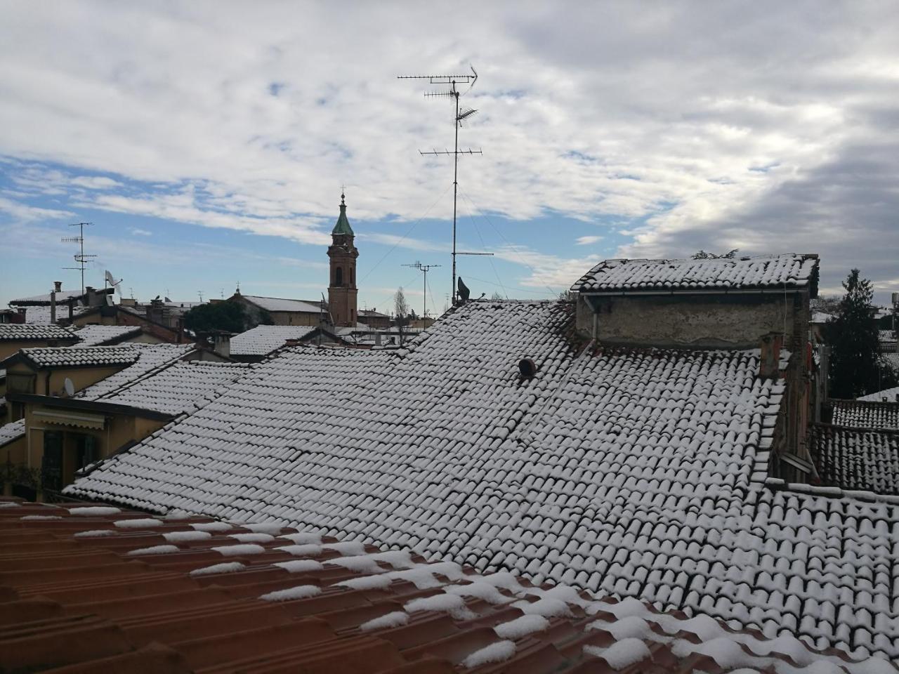 Remorsella * Bologne